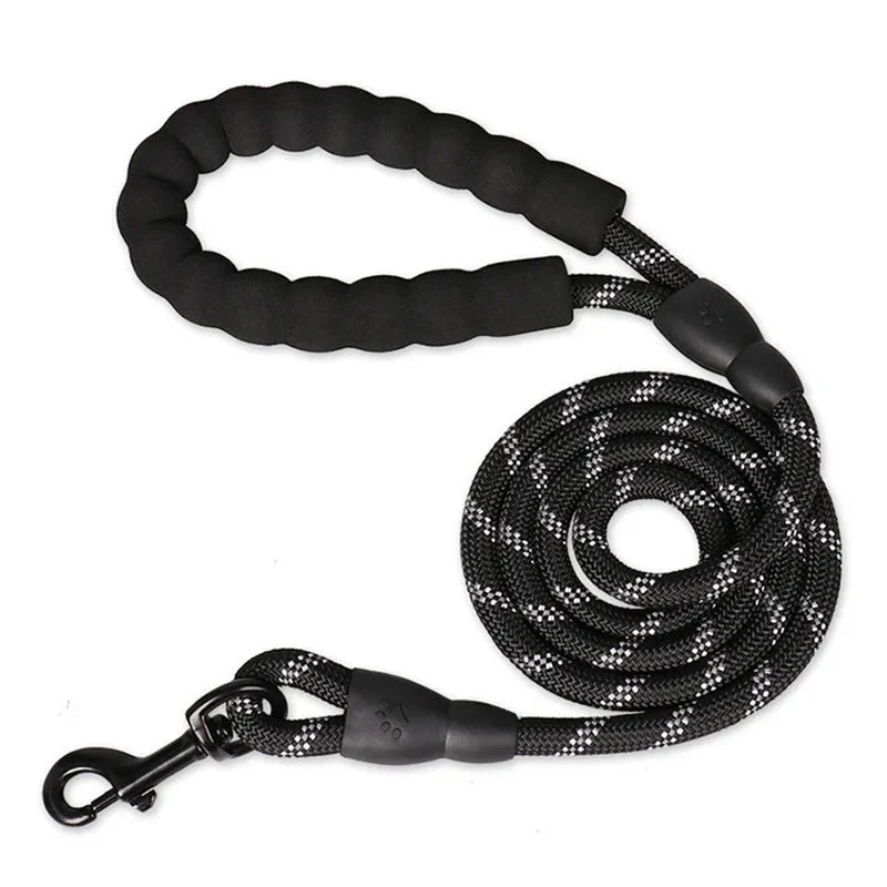 Dailypets Braided Reflective Dog Leash with Padded Handle for Everyday Walks