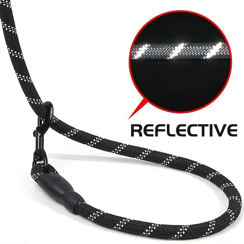 Dailypets Braided Reflective Dog Leash with Padded Handle for Everyday Walks
