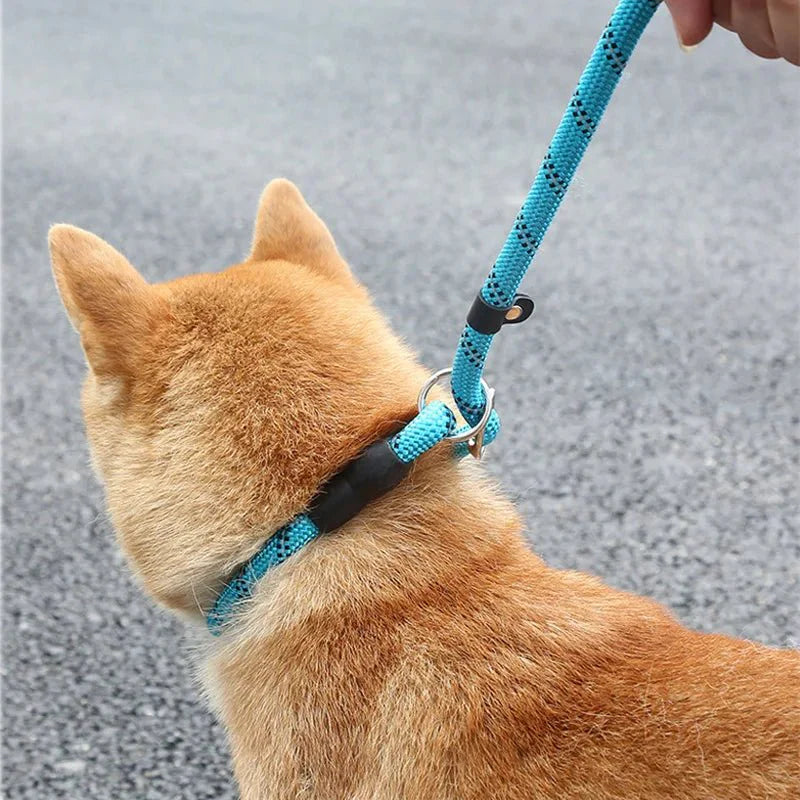 Dailypets Reflective Slip Dog Leash with Padded Handle and Adjustable Collar Loop 180 cm