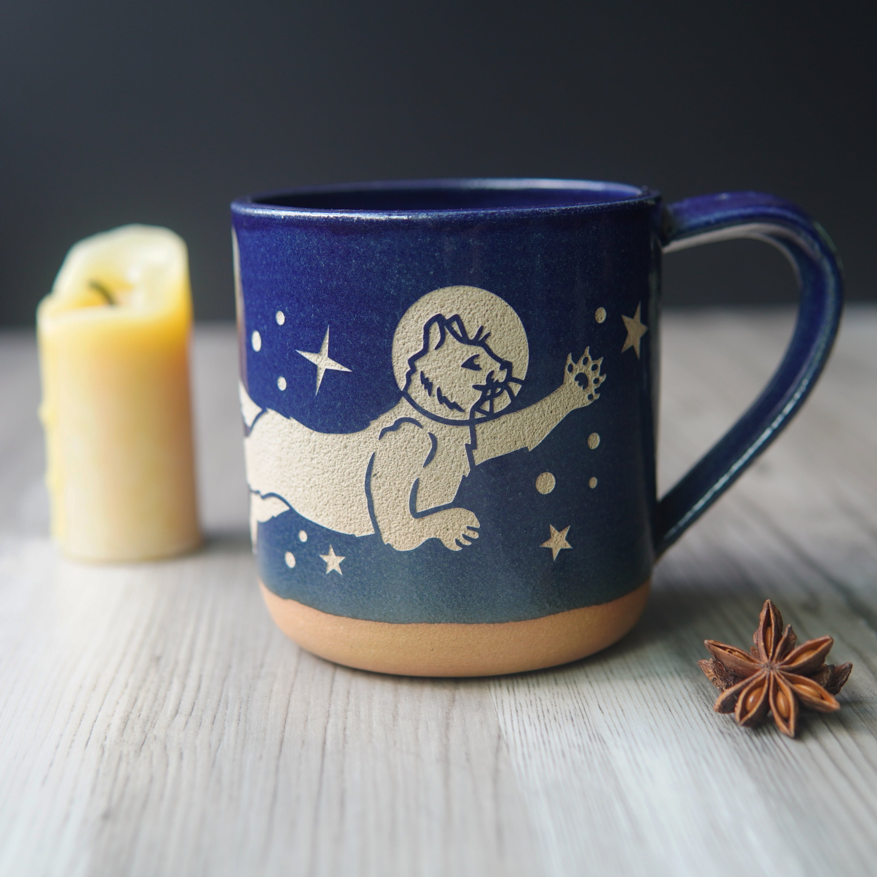 Dailypets Starry Night Cat Pottery Mug