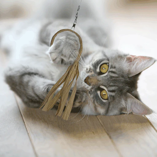 Dailypets Ring Teaser Cat Attachment for Wand Toys