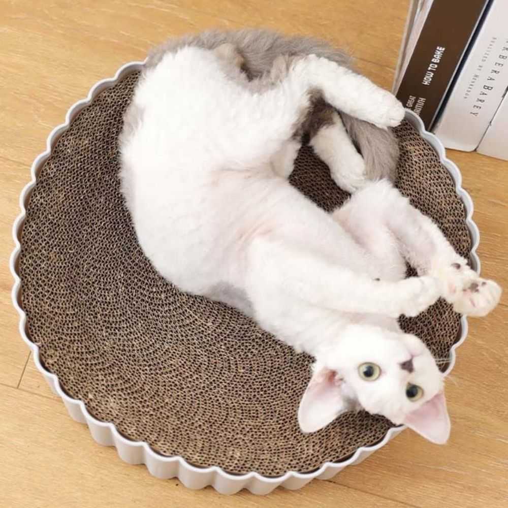 Dailypets Premium Round Cat Scratcher Bed