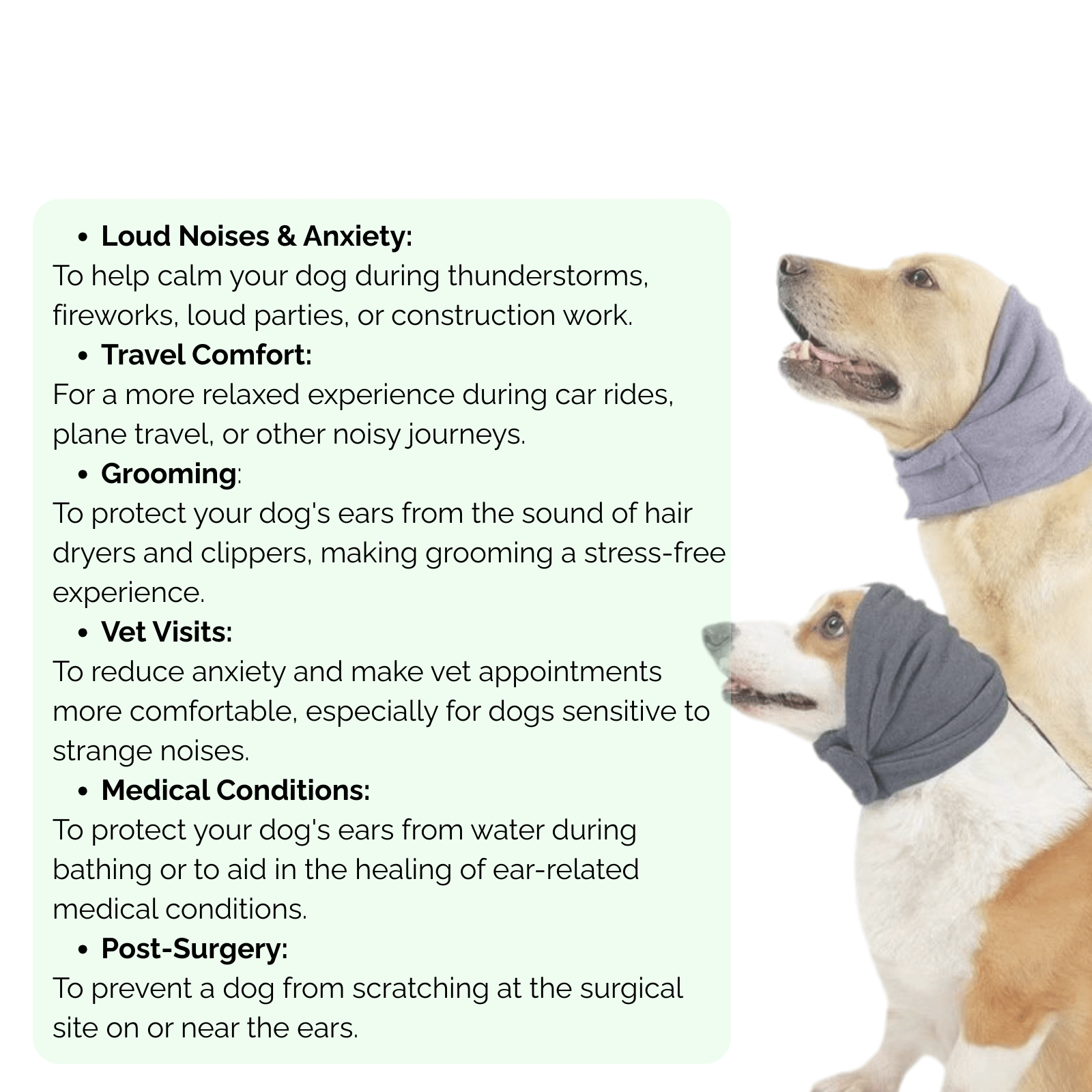 Dailypets Dog Ear Protection with Soft Compression Fit for Travel and Loud Environments