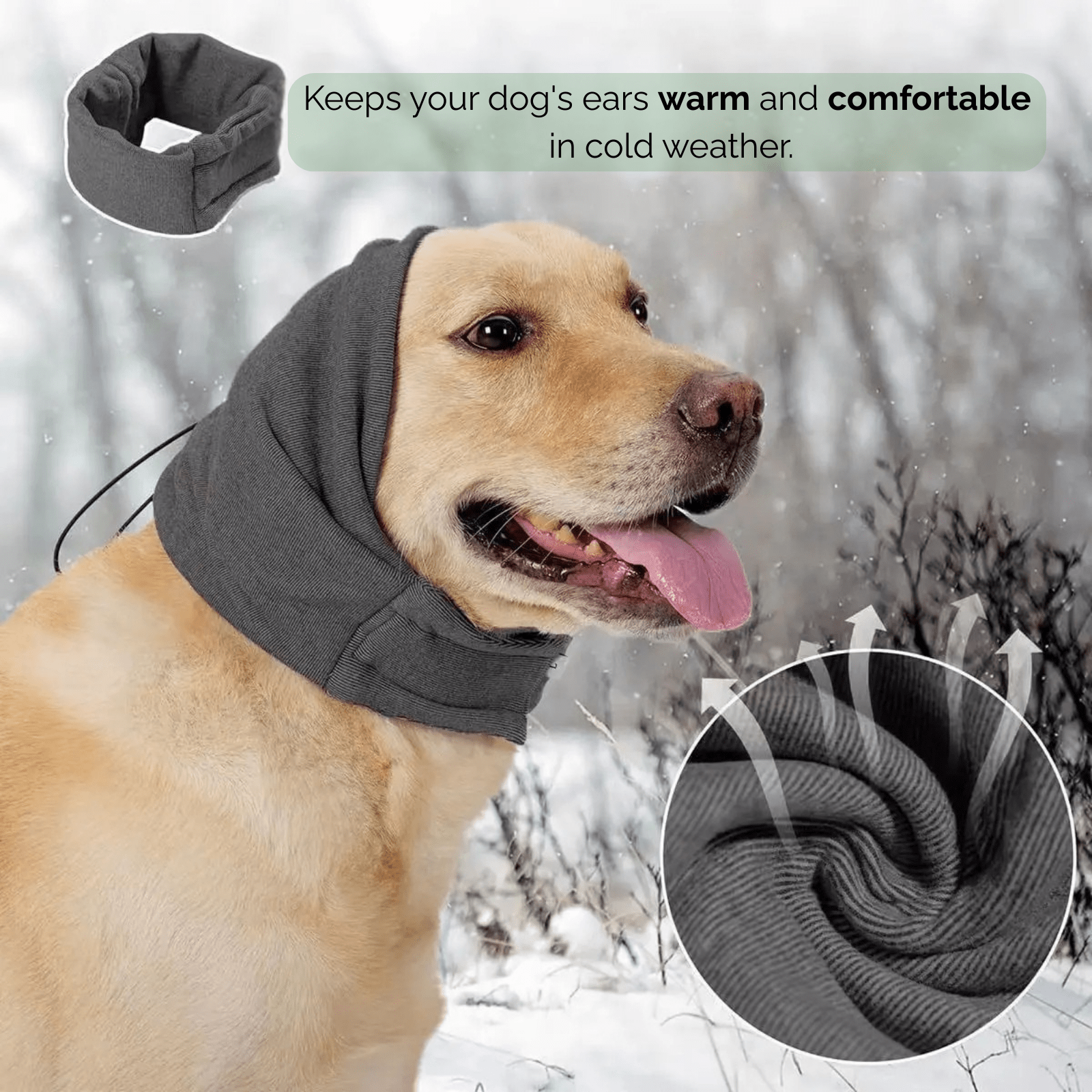 Dailypets Dog Ear Protection with Soft Compression Fit for Travel and Loud Environments