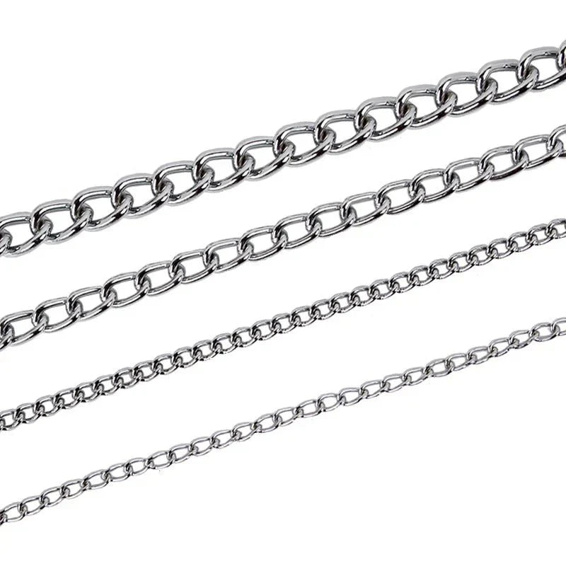 Dailypets Stainless Steel Slip Dog Collar for Training and Everyday Control