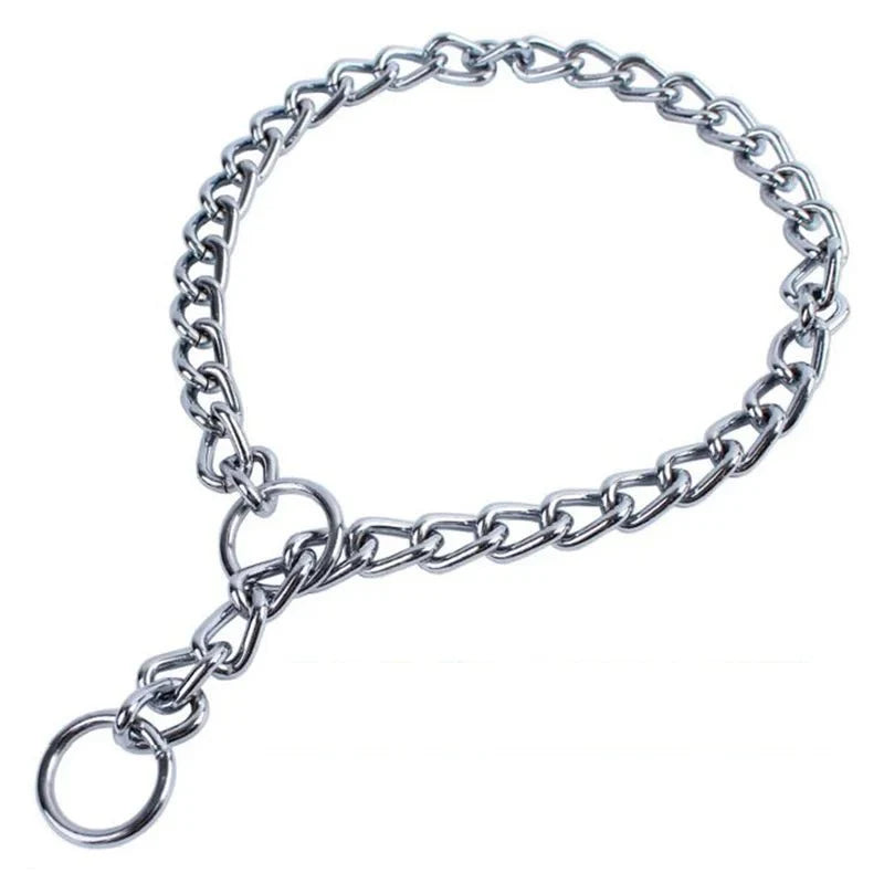 Dailypets Stainless Steel Slip Dog Collar for Training and Everyday Control