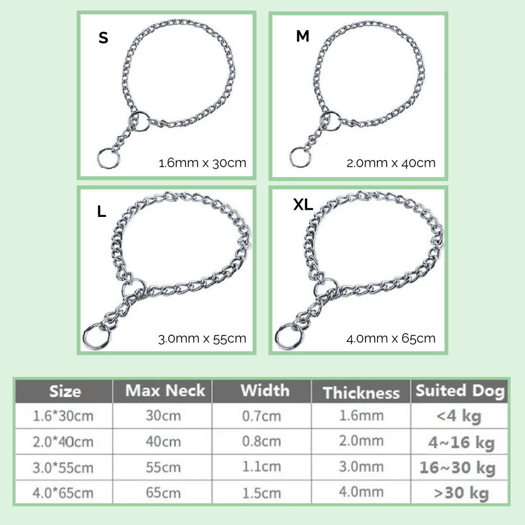 Dailypets Stainless Steel Slip Dog Collar for Training and Everyday Control
