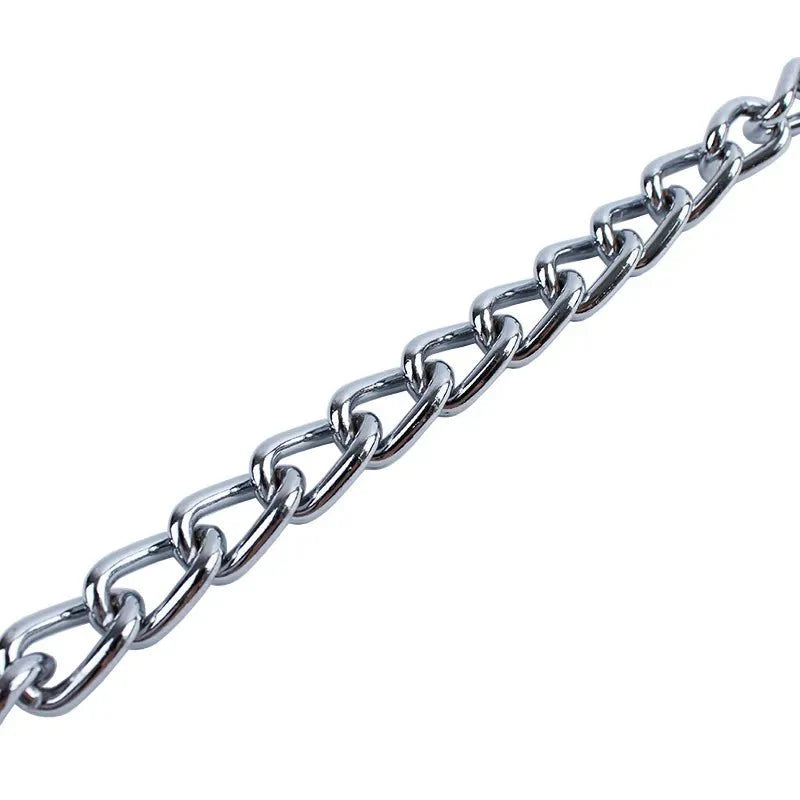 Dailypets Stainless Steel Slip Dog Collar for Training and Everyday Control
