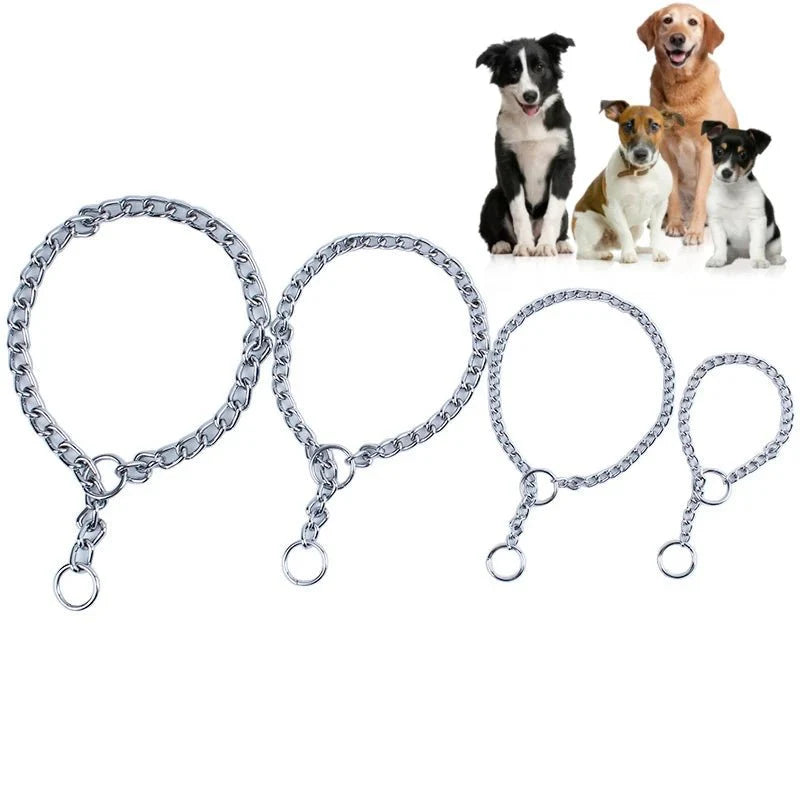 Dailypets Stainless Steel Slip Dog Collar for Training and Everyday Control