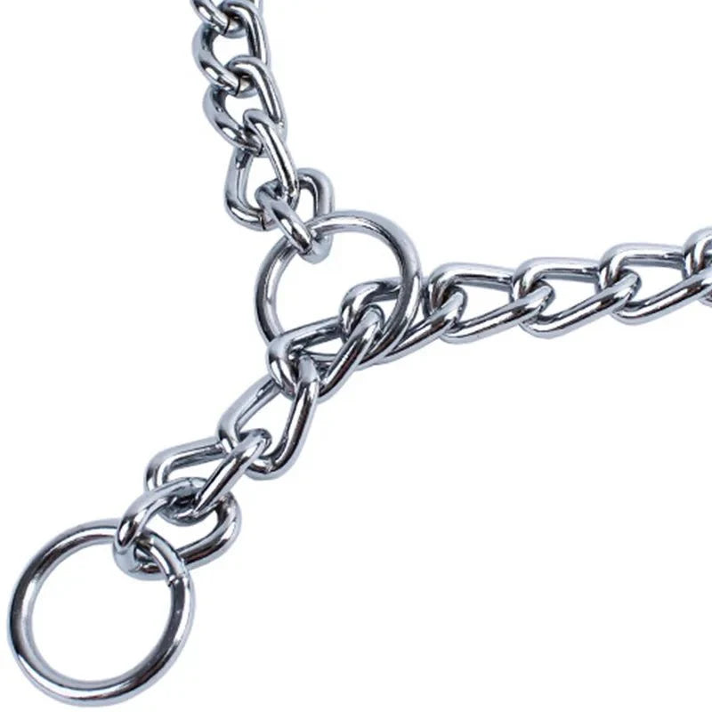 Dailypets Stainless Steel Slip Dog Collar for Training and Everyday Control