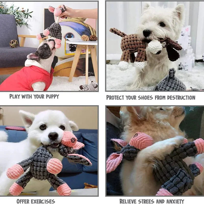 Dailypets Durable Plush Toy with Built-In Squeaker