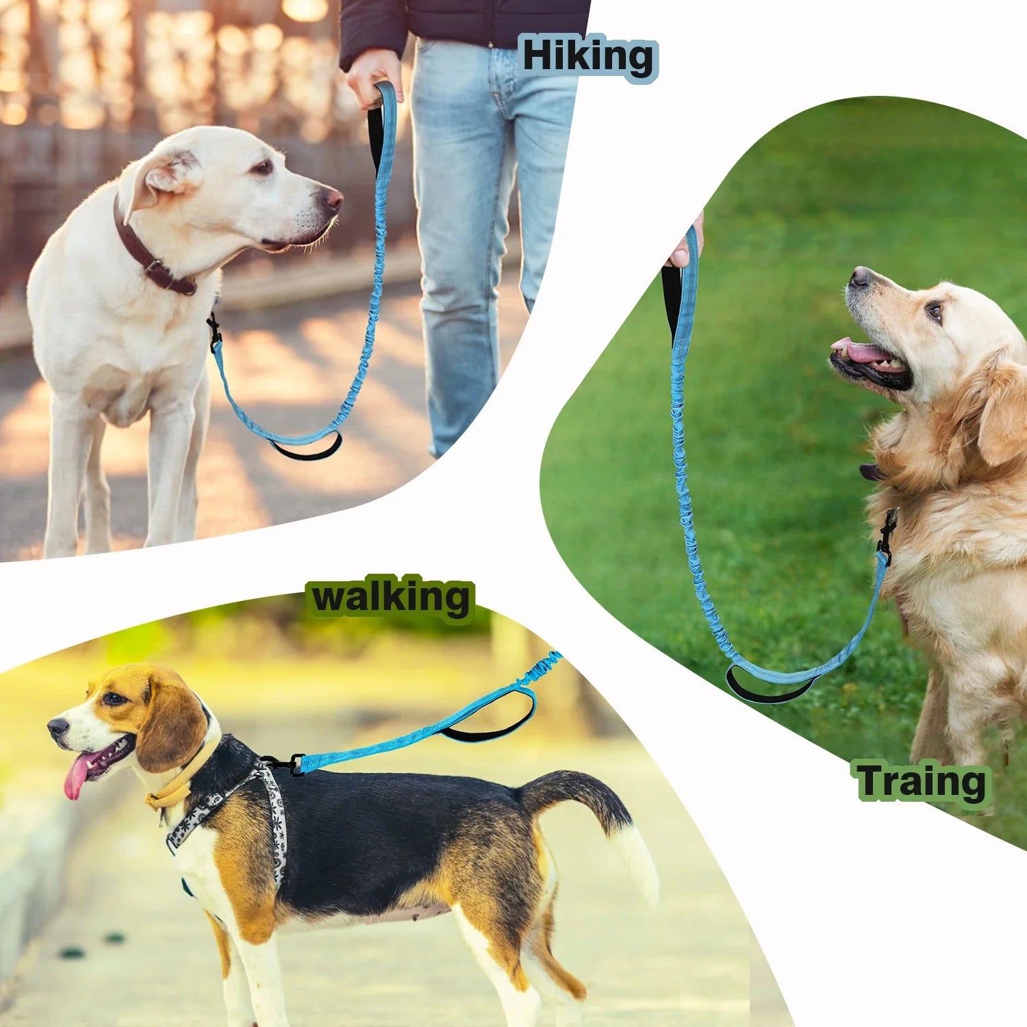 Dailypets Shock-Absorbing Bungee Dog Leash with Dual Padded Handles for Training
