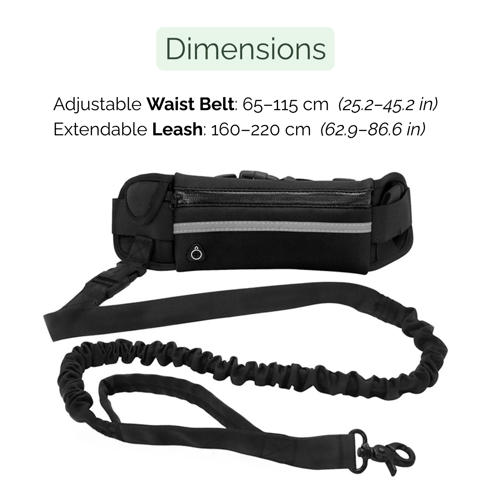 Dailypets Hands-Free Running Dog Leash with Waist Bag & Shock-Absorbing Bungee