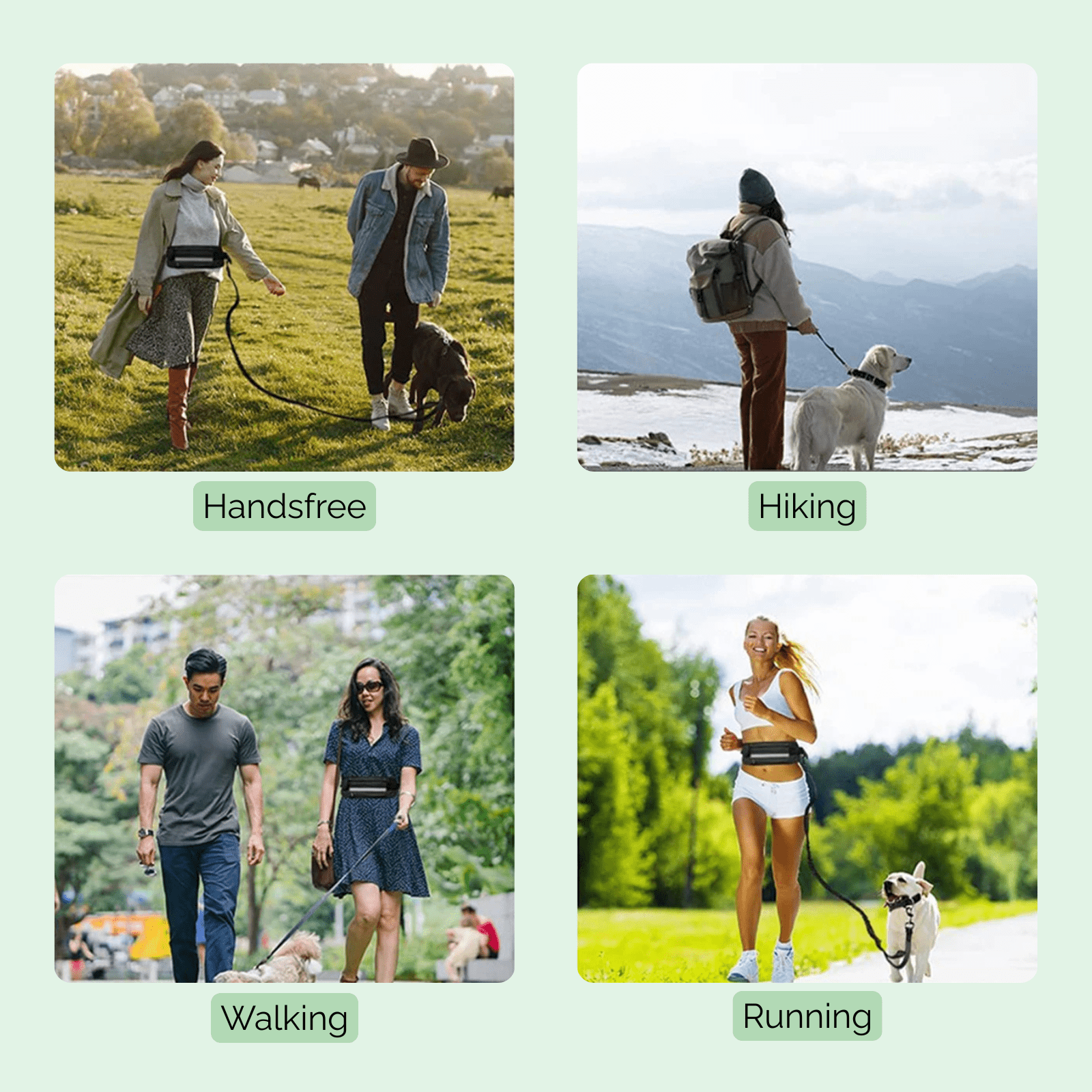 Dailypets Hands-Free Running Dog Leash with Waist Bag & Shock-Absorbing Bungee