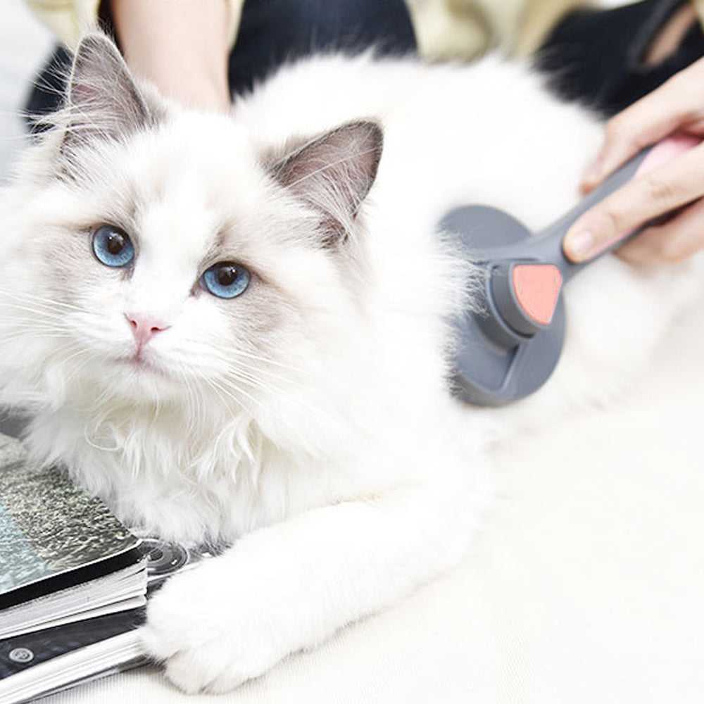 Dailypets Cat Grooming Brush, Self-Cleaning Comb for Loose Hair Removal