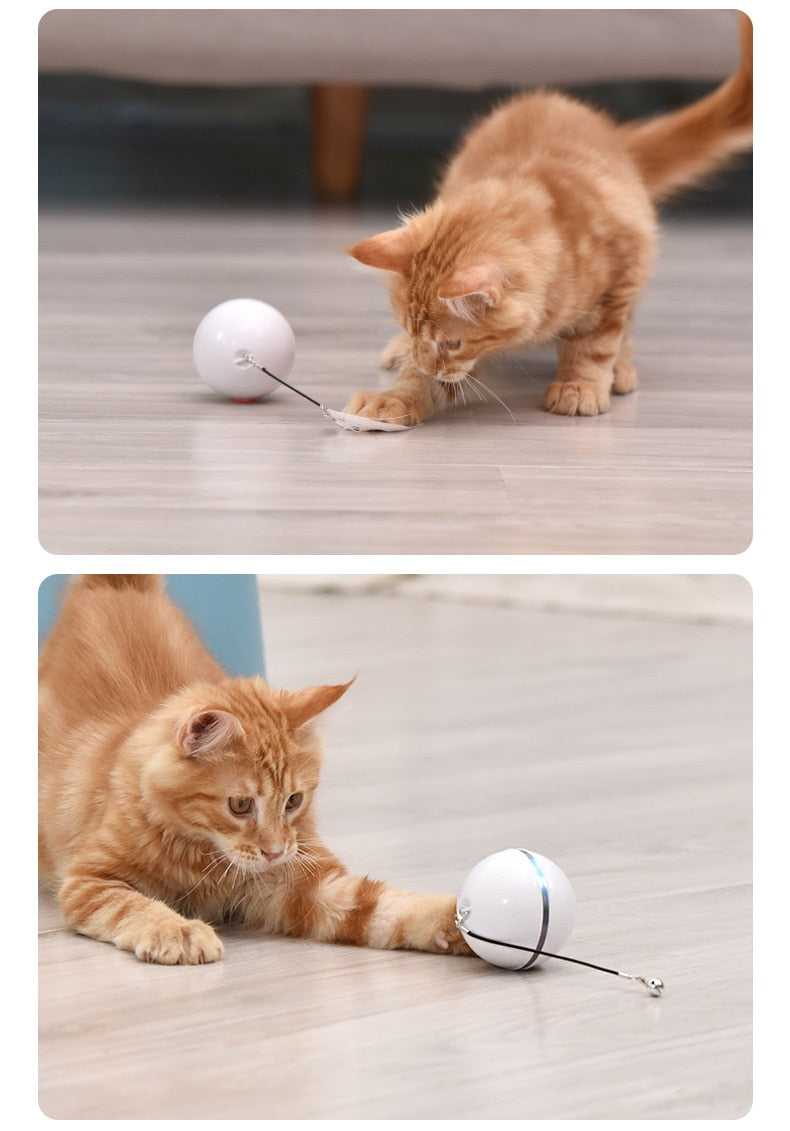 Dailypets Smart Interactive Cat Ball – USB Rechargeable LED Chase Toy