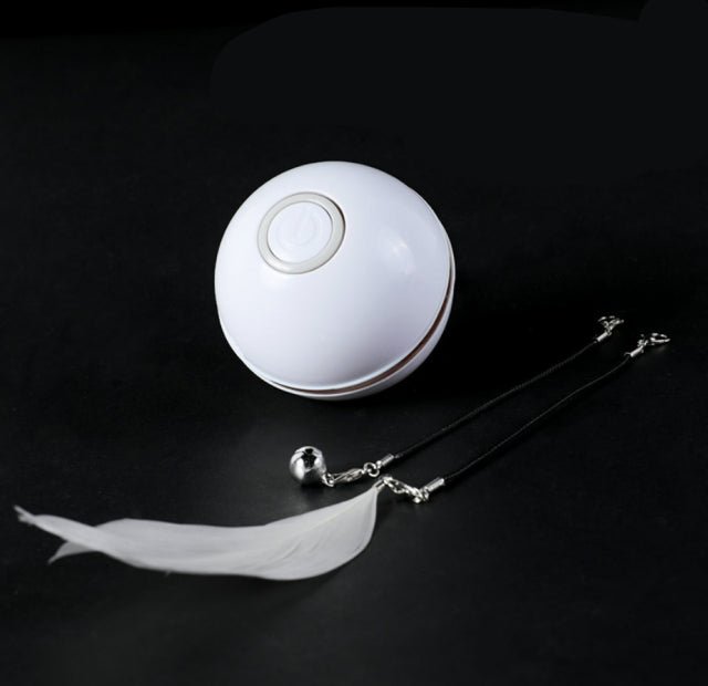 Dailypets Smart Interactive Cat Ball – USB Rechargeable LED Chase Toy