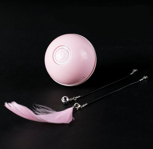 Dailypets Smart Interactive Cat Ball – USB Rechargeable LED Chase Toy
