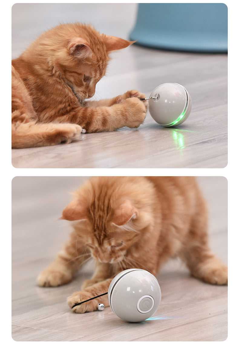 Dailypets Smart Interactive Cat Ball – USB Rechargeable LED Chase Toy
