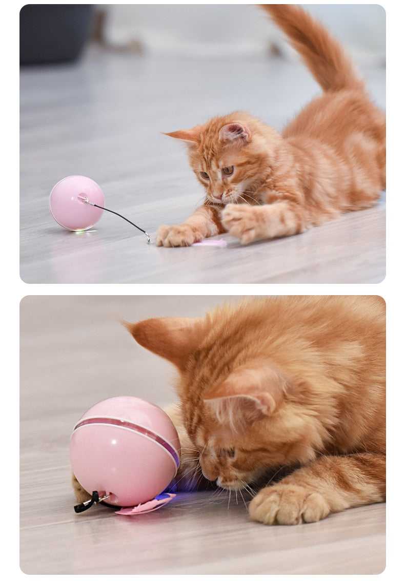 Dailypets Smart Interactive Cat Ball – USB Rechargeable LED Chase Toy