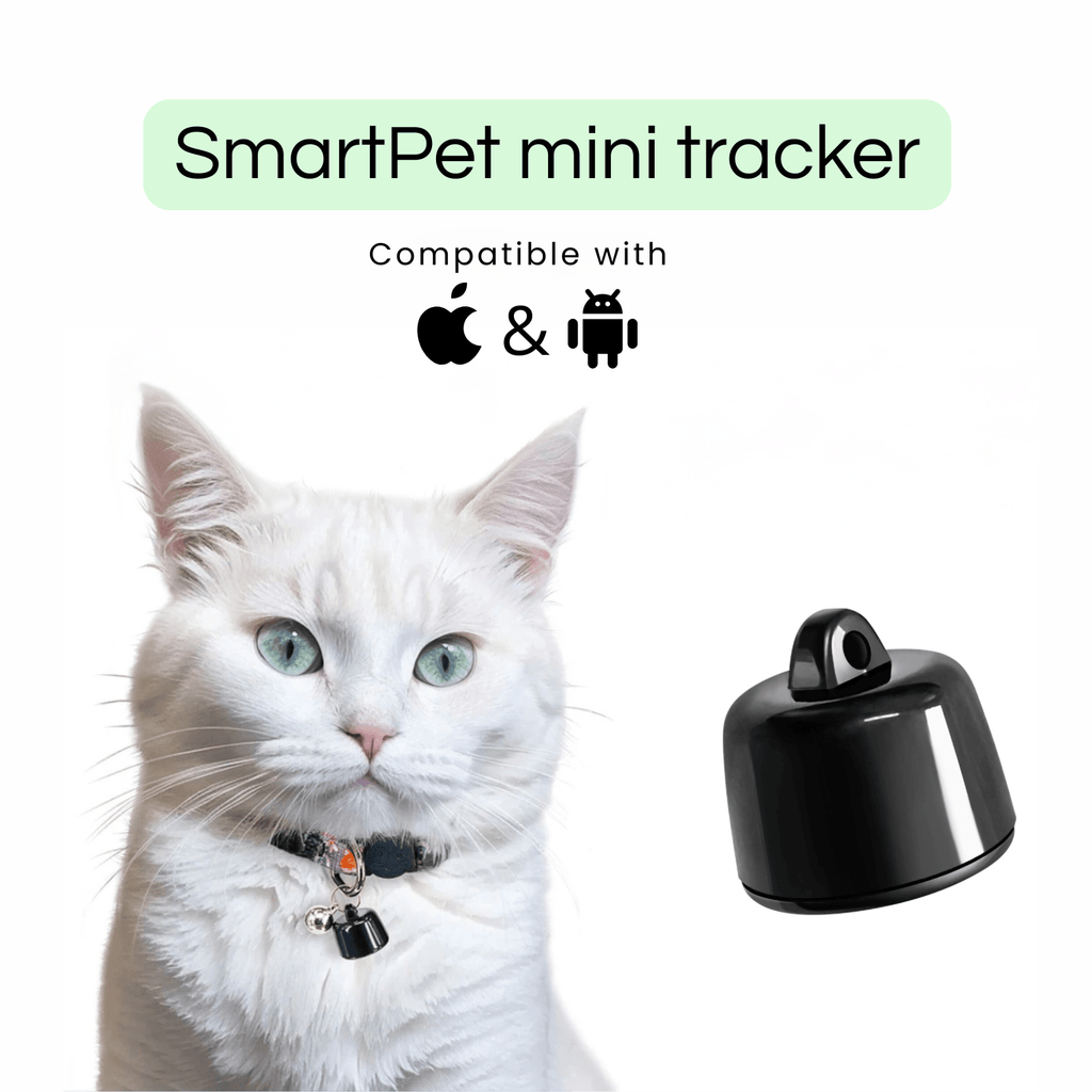 Dailypets Bluetooth Pet Tracker for Android and iPhone with Community Location Network