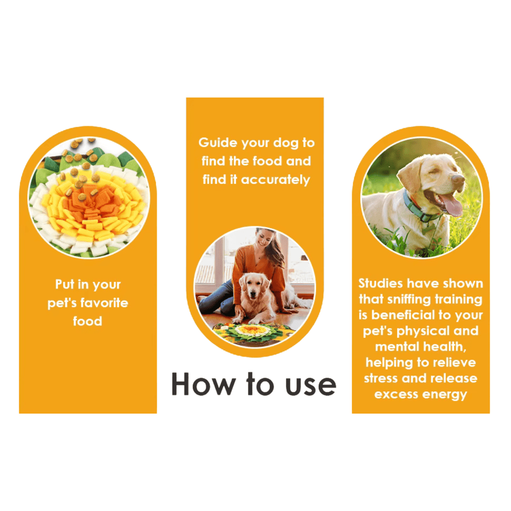 Dailypets Flower Snuffle Mat for Dogs with Hidden Treat Pockets