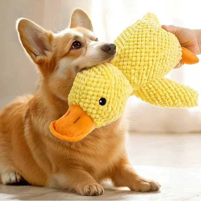Dailypets Plush Duck Dog Toy with Soft Squeaker for Interactive Play