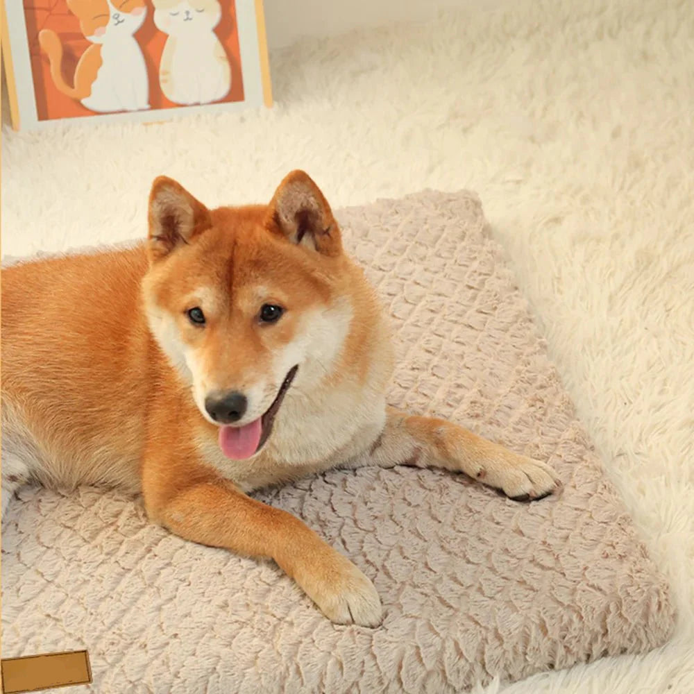 Dailypets Orthopedic Dog Bed with Supportive Foam Cushion and Removable Washable Cover