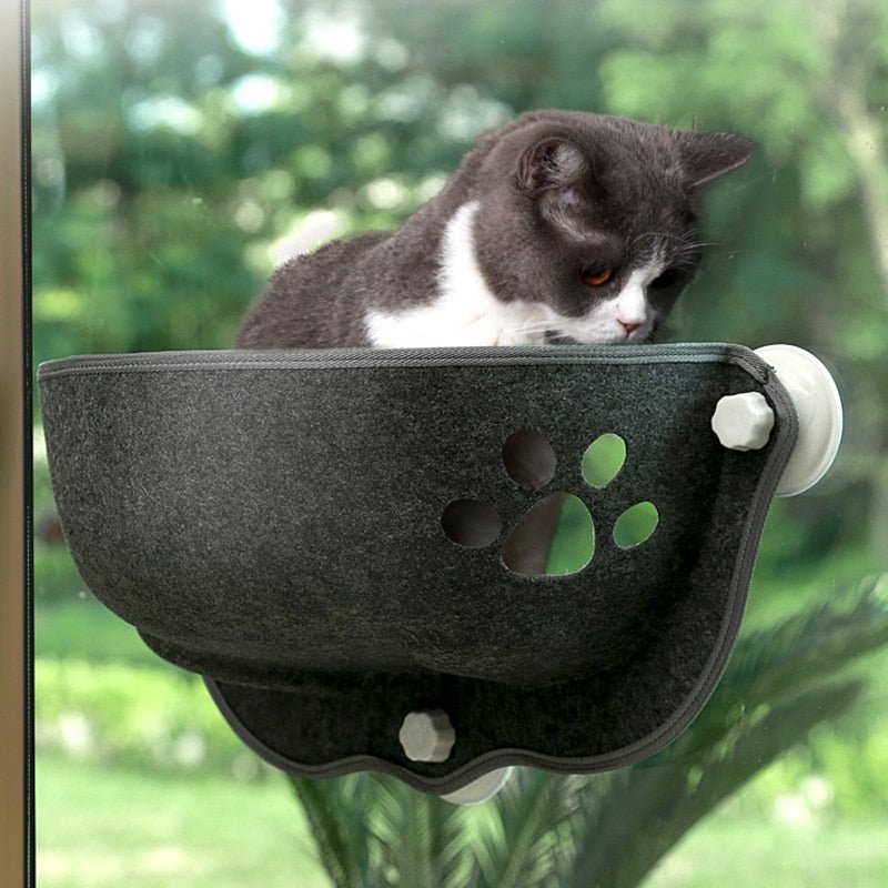 Dailypets Window Cat Bed with Breathable Paw Cut-Out Design