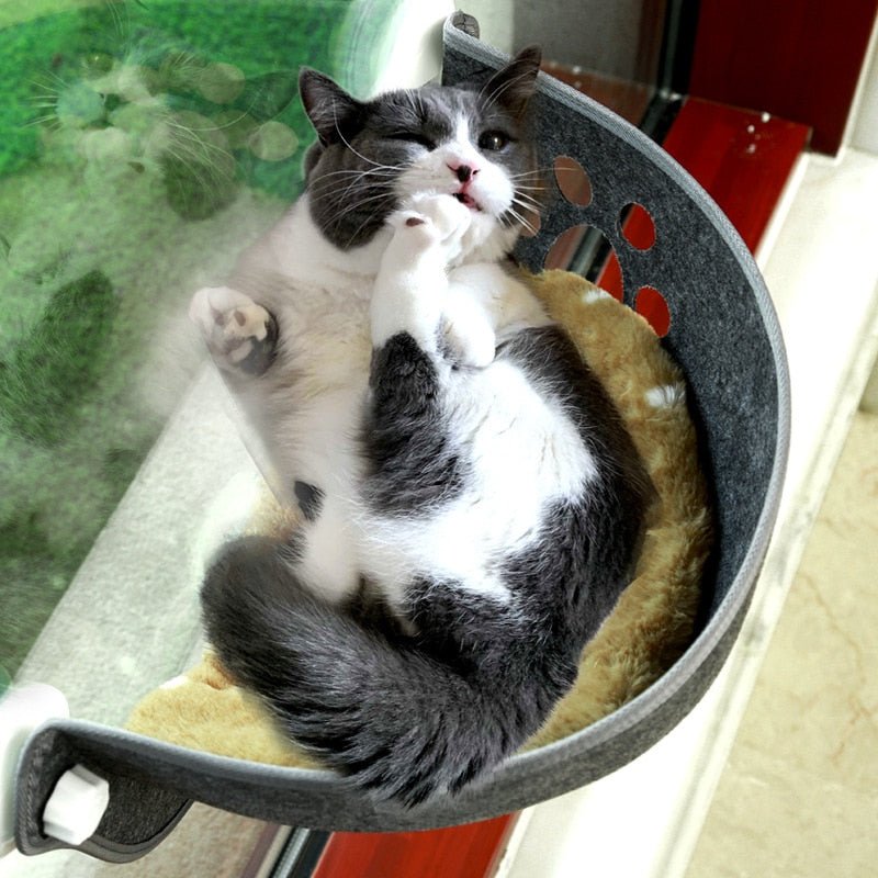Dailypets Window Cat Bed with Breathable Paw Cut-Out Design