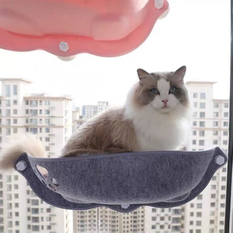 Dailypets Window Cat Bed with Breathable Paw Cut-Out Design