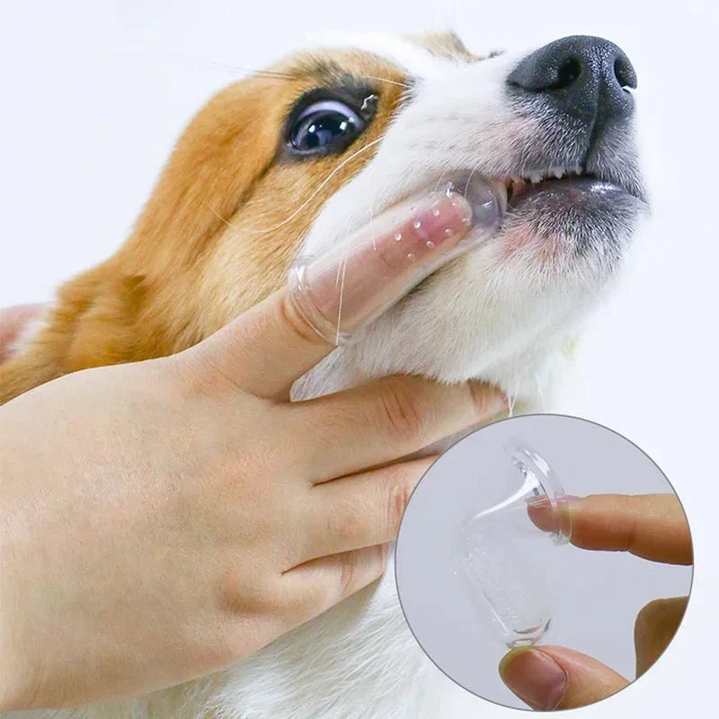 Dailypets Silicone Finger Pet Toothbrush for Gentle Daily Dental Care of Dogs and Cats