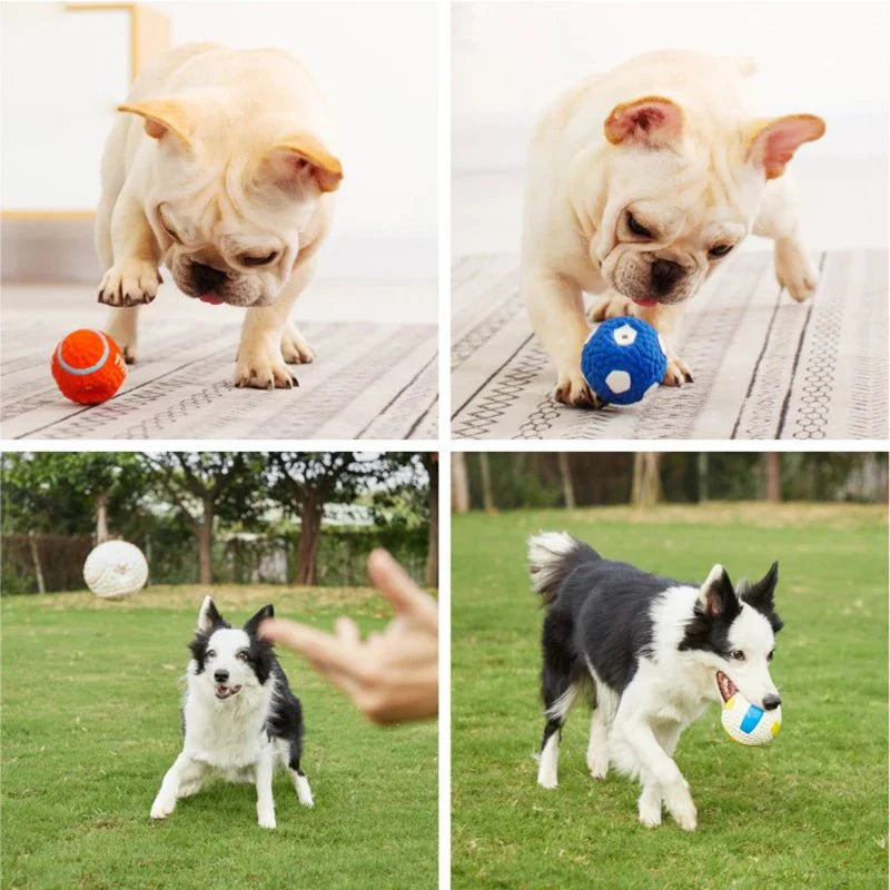 Dailypets Squeaky Latex Sports Ball Dog Toy for Fetch & Chewing