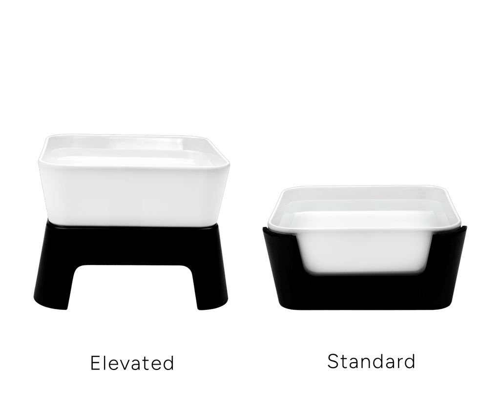 Dailypets Premium Pet Bowl, Water Bowl with Mid-Century Base