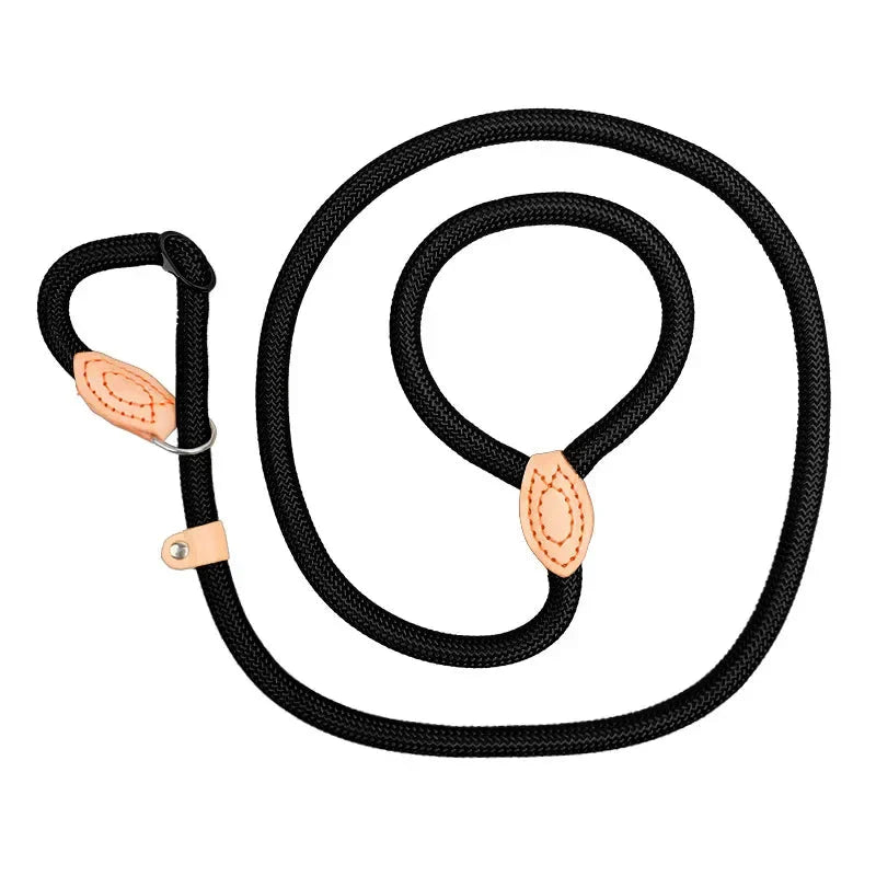 Dailypets Adjustable Slip Lead for Medium & Large Dogs with Heavy-Duty Braided Rope