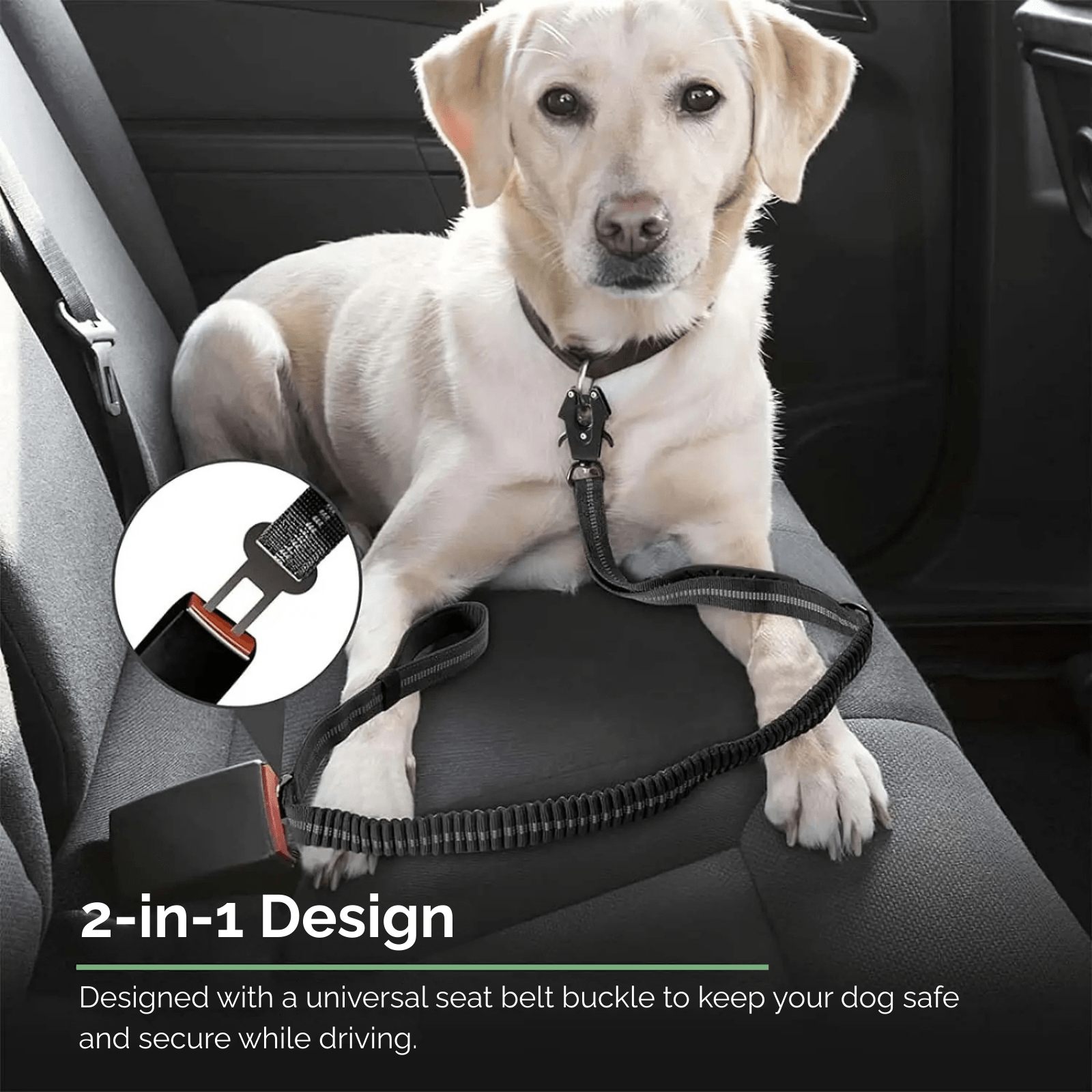 Dailypets Heavy-Duty Reflective Dog Leash with Shock-Absorbing Bungee & Car Seat Belt