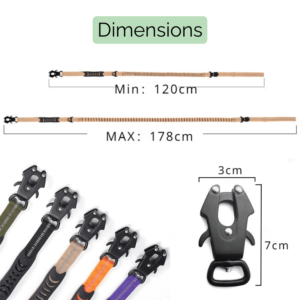 Dailypets Heavy-Duty Reflective Dog Leash with Shock-Absorbing Bungee & Car Seat Belt