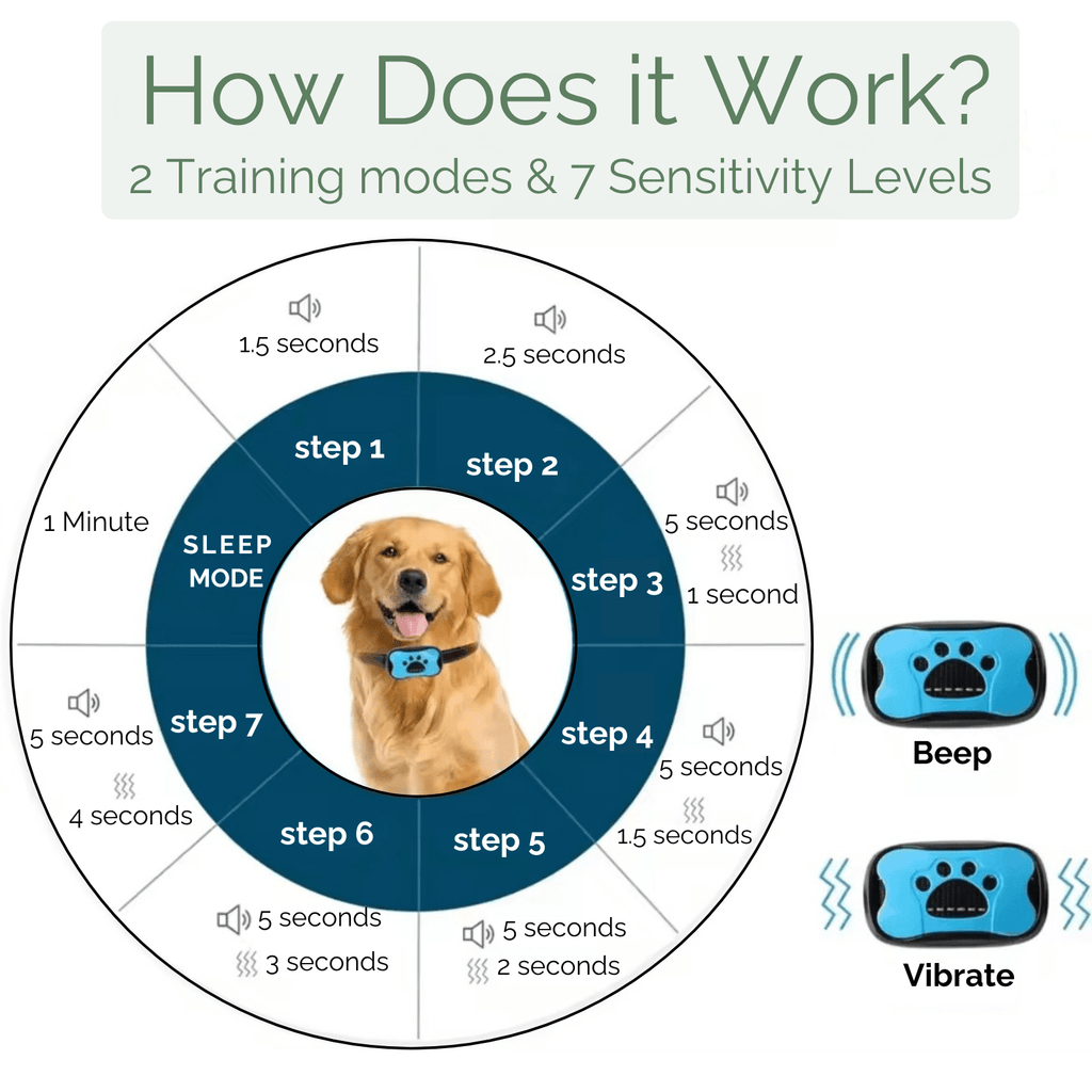 Dailypets Rechargeable Anti-Bark Training Collar with Vibration and Beep Modes