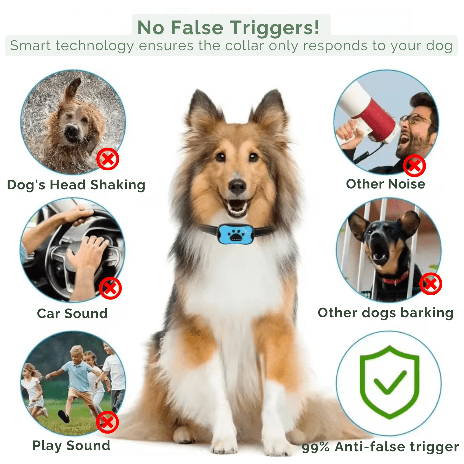 Dailypets Rechargeable Anti-Bark Training Collar with Vibration and Beep Modes