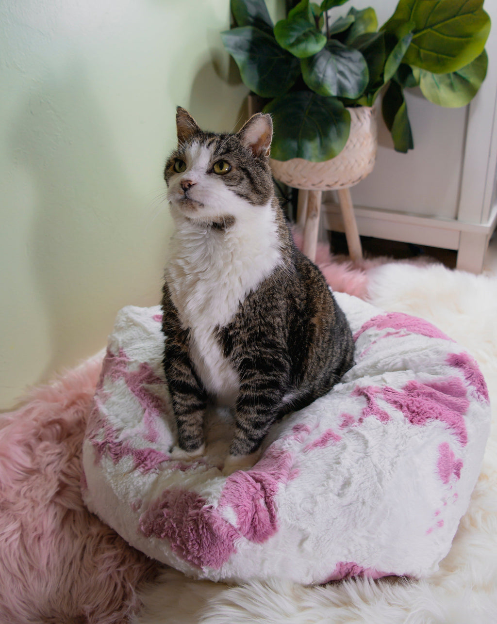 Dailypets Pink Cow Luxe Pouf Cat Bed Machine Washable Design