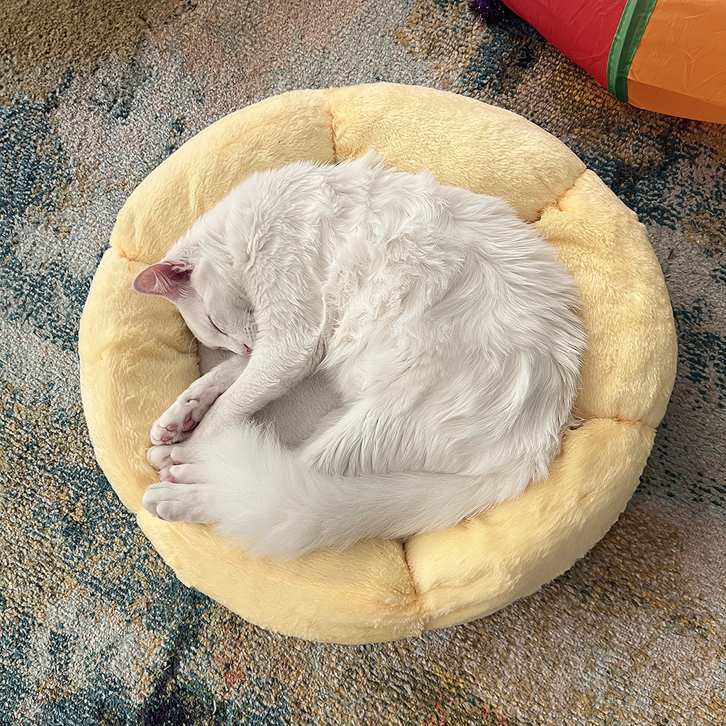 Dailypets Round Sun Cat Bed Soft Plush Nest for Cats & Small Pets
