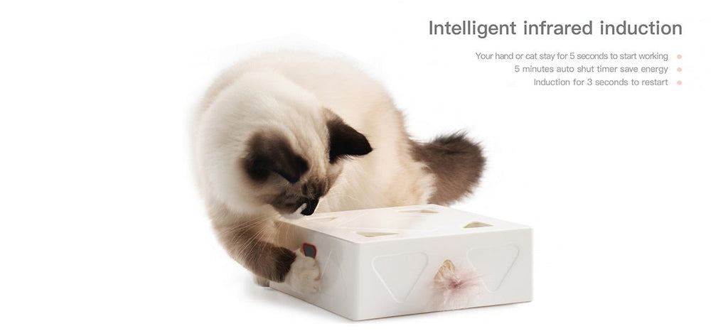 Dailypets Magic Feather Box – Automatic Cat Enrichment Toy