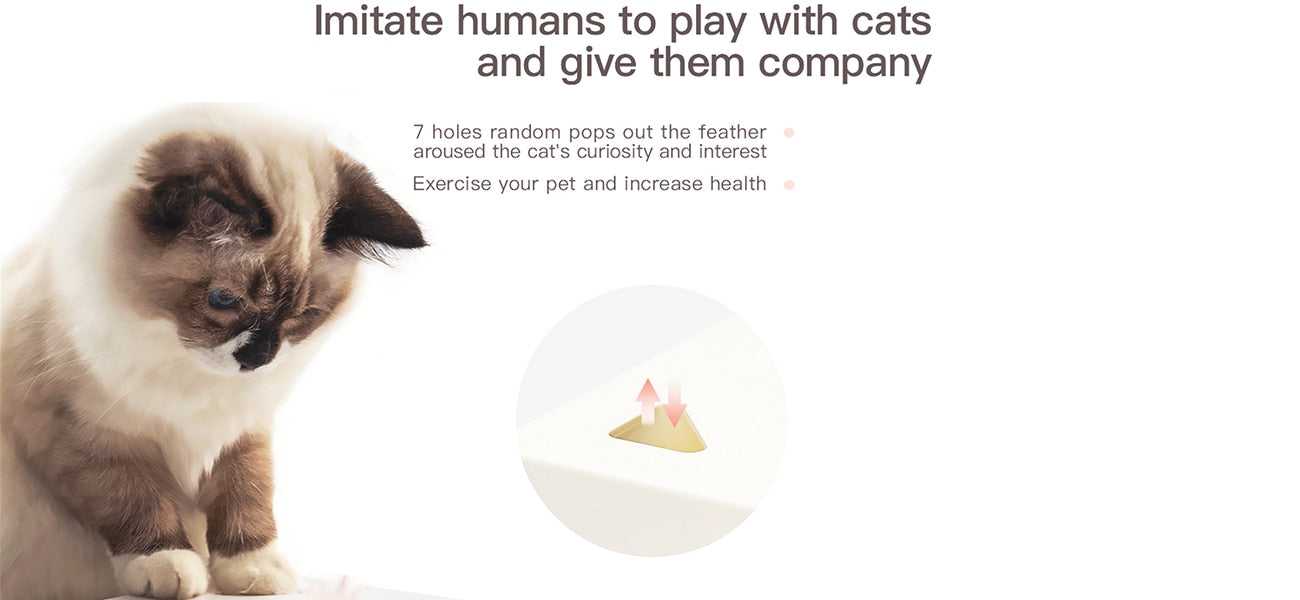 Dailypets Magic Feather Box – Automatic Cat Enrichment Toy