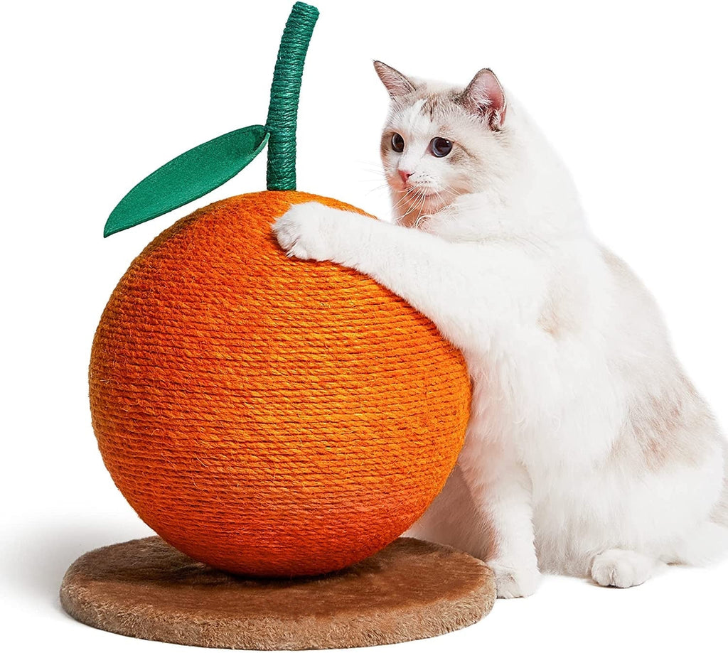 Dailypets Citrus Scratch Board – Vibrant Cat Scratcher for Play and Furniture Protection
