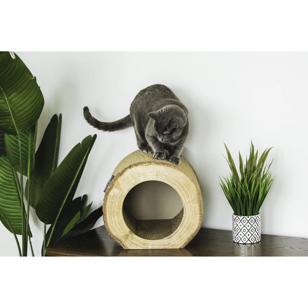 Dailypets Rustic Cat Scratcher Condo – Hollow Log Cat Hideaway with Perch Top