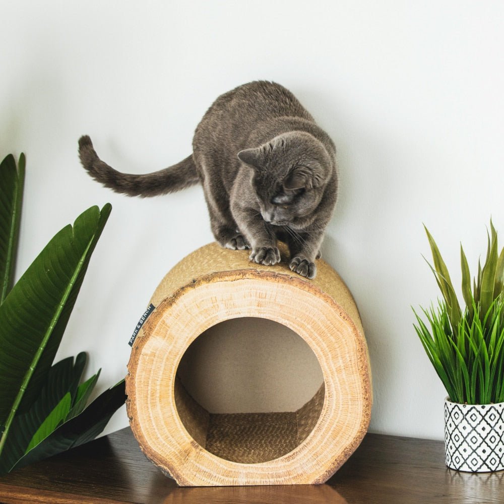 Dailypets Rustic Cat Scratcher Condo – Hollow Log Cat Hideaway with Perch Top
