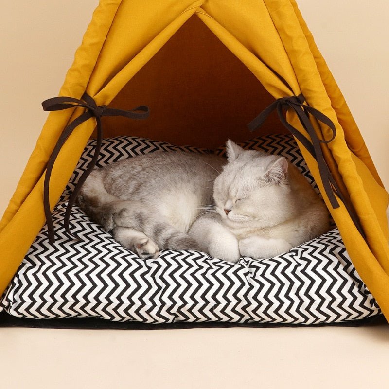 Dailypets Modern Cat Teepee – Cozy Canvas Indoor Cat Tent