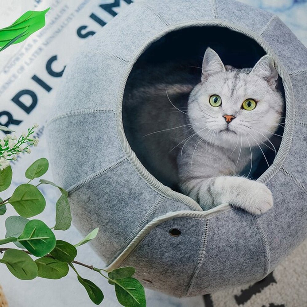 Dailypets Round Cat Cave Bed, Shell Style Lounge with Plush Interior