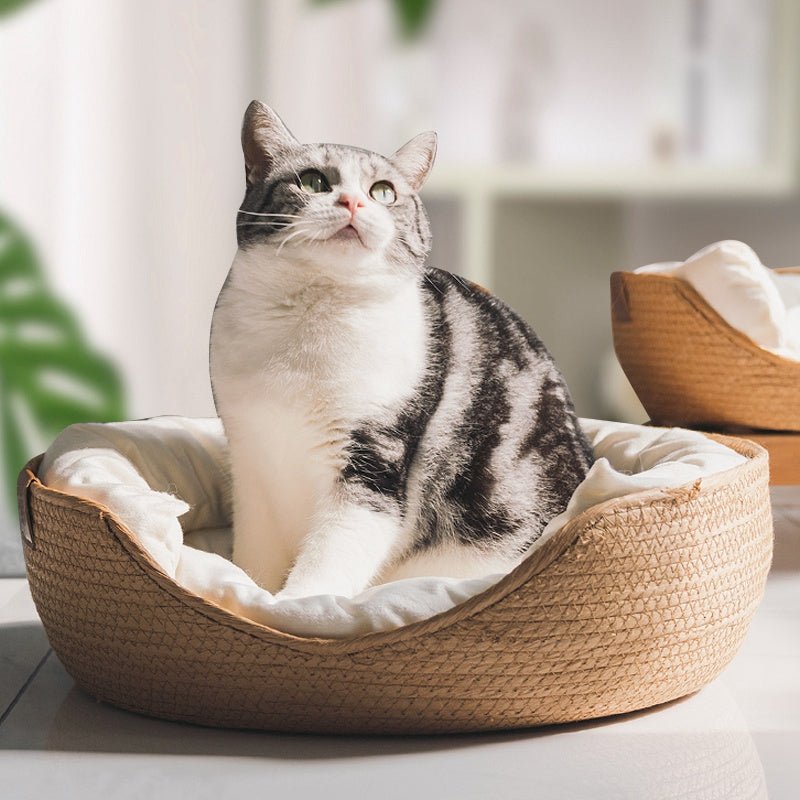 Dailypets Soft Basket Cat Nest with Removable Cushion