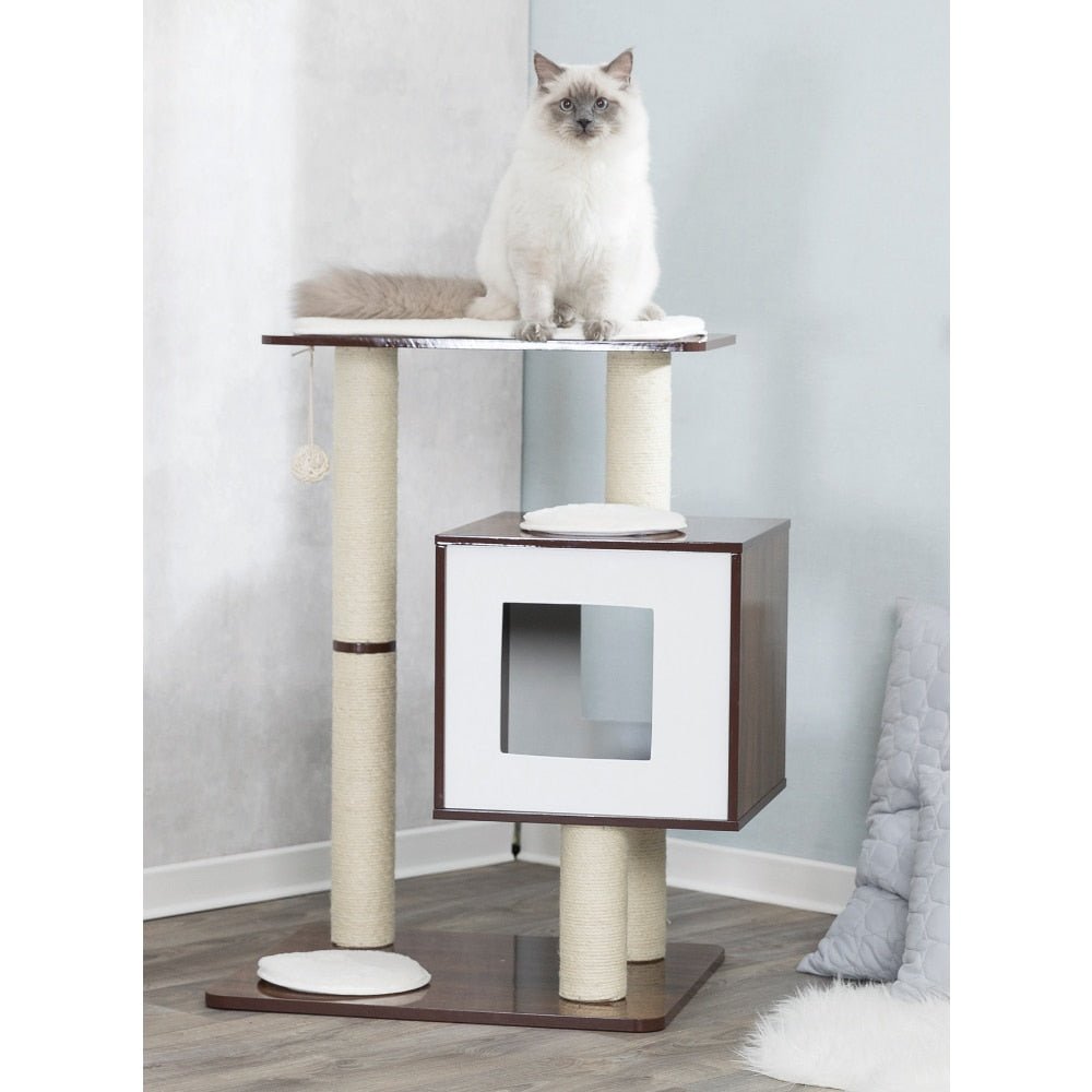 Dailypets Square Modern Cat Tree – 31-Inch Indoor Cat Tower with Condo & Interactive Toy